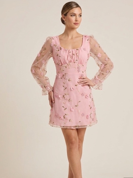 Allison & Kelly Other - Allison & Kelly Sheer Sleeve Pink Floral Embroidered Mini Dress Mesh Overlay 16